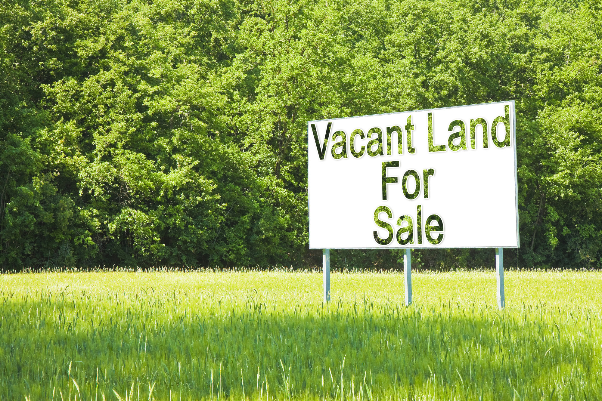 attract land buyers